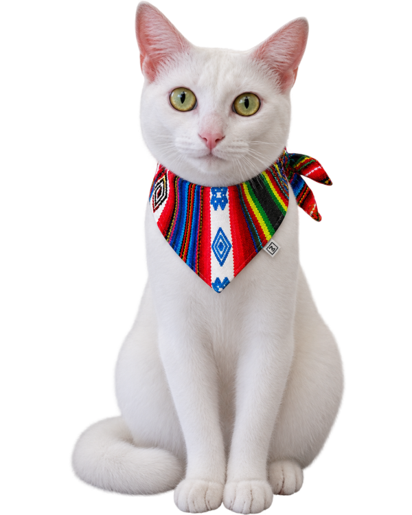 Bandanas para Mascota