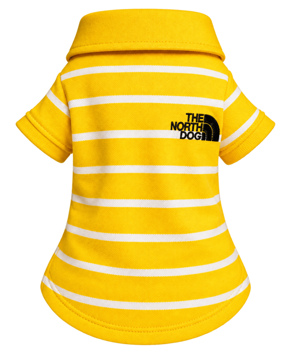 Camisa Amarilla The North Dog cuello Pique
