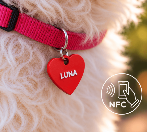 Placas inteligentes NFC personalizables