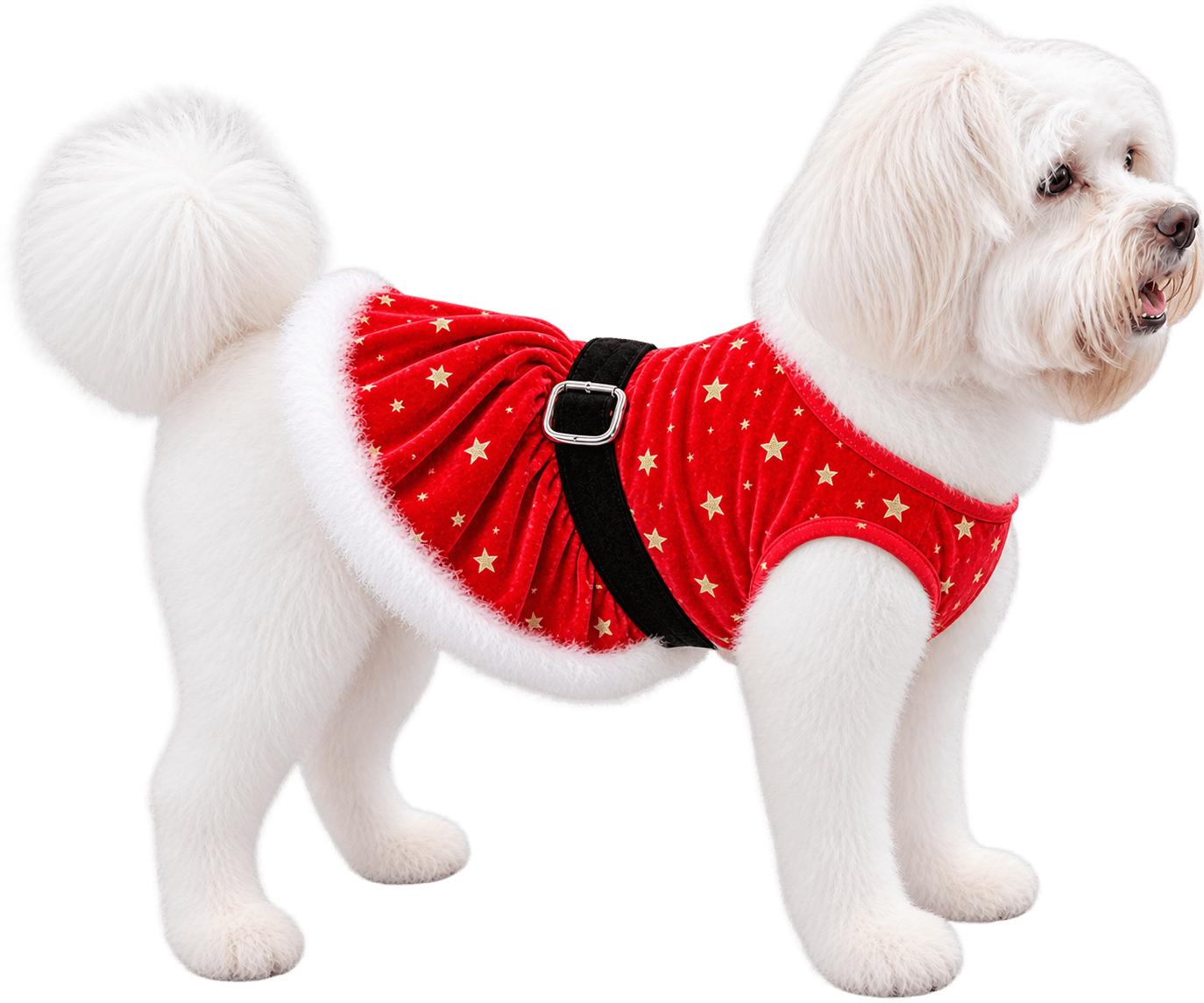 Perrito blanco con traje navideño rojo