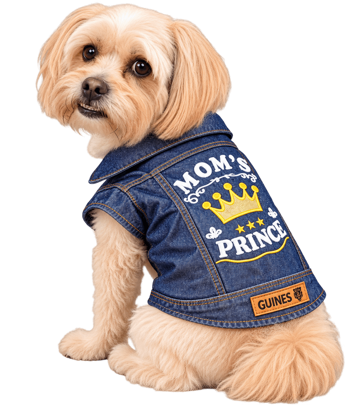 Perrito con chaqueta vaquera bordada