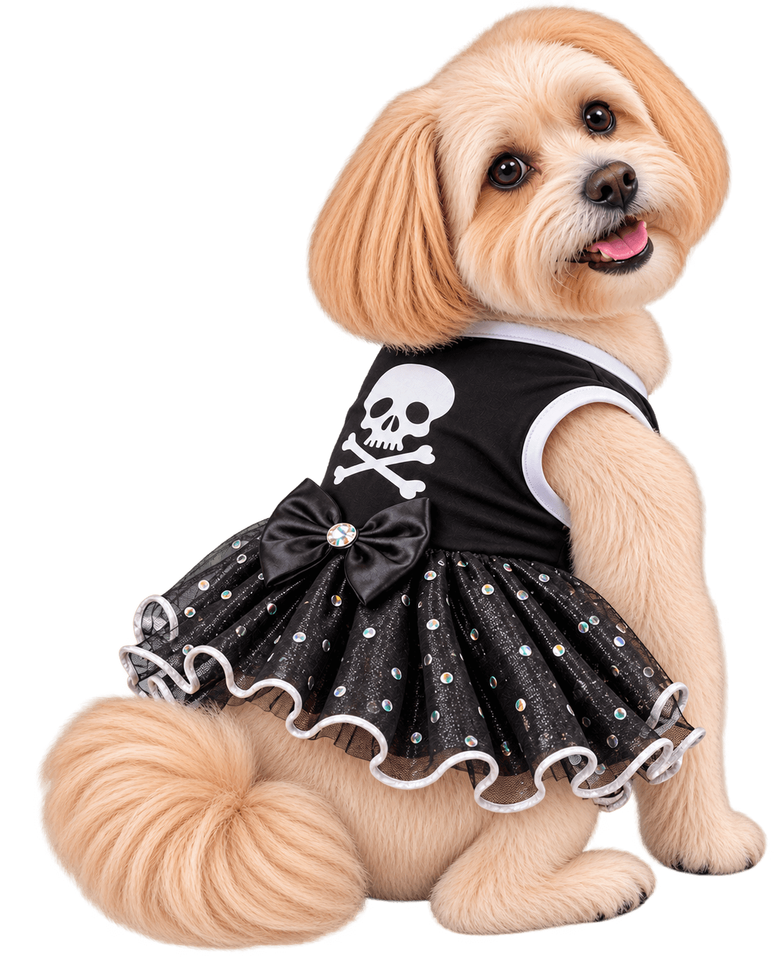 Perrito coqueto con vestido negro brillante