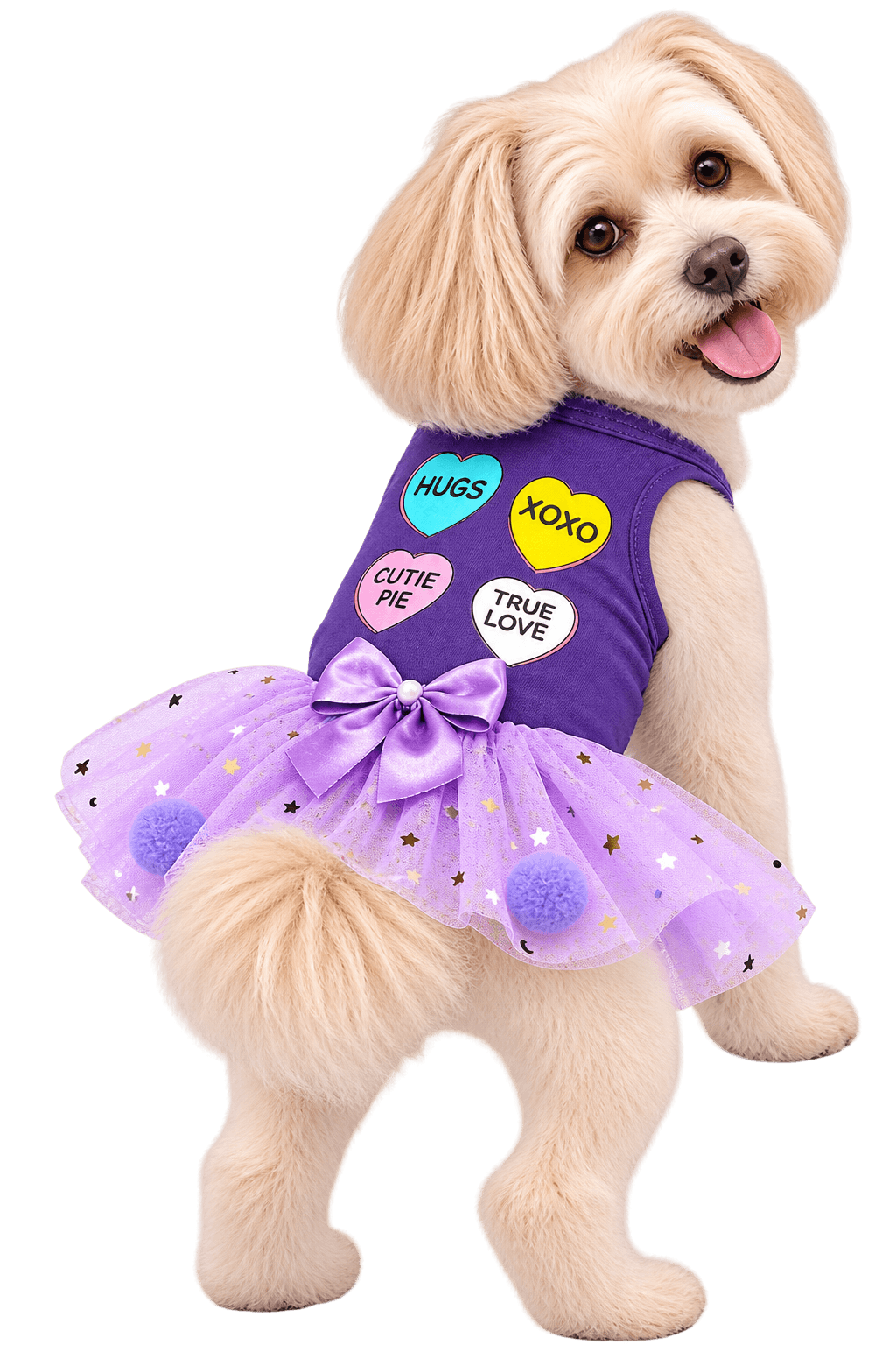 Perrito esponjoso con vestido morado