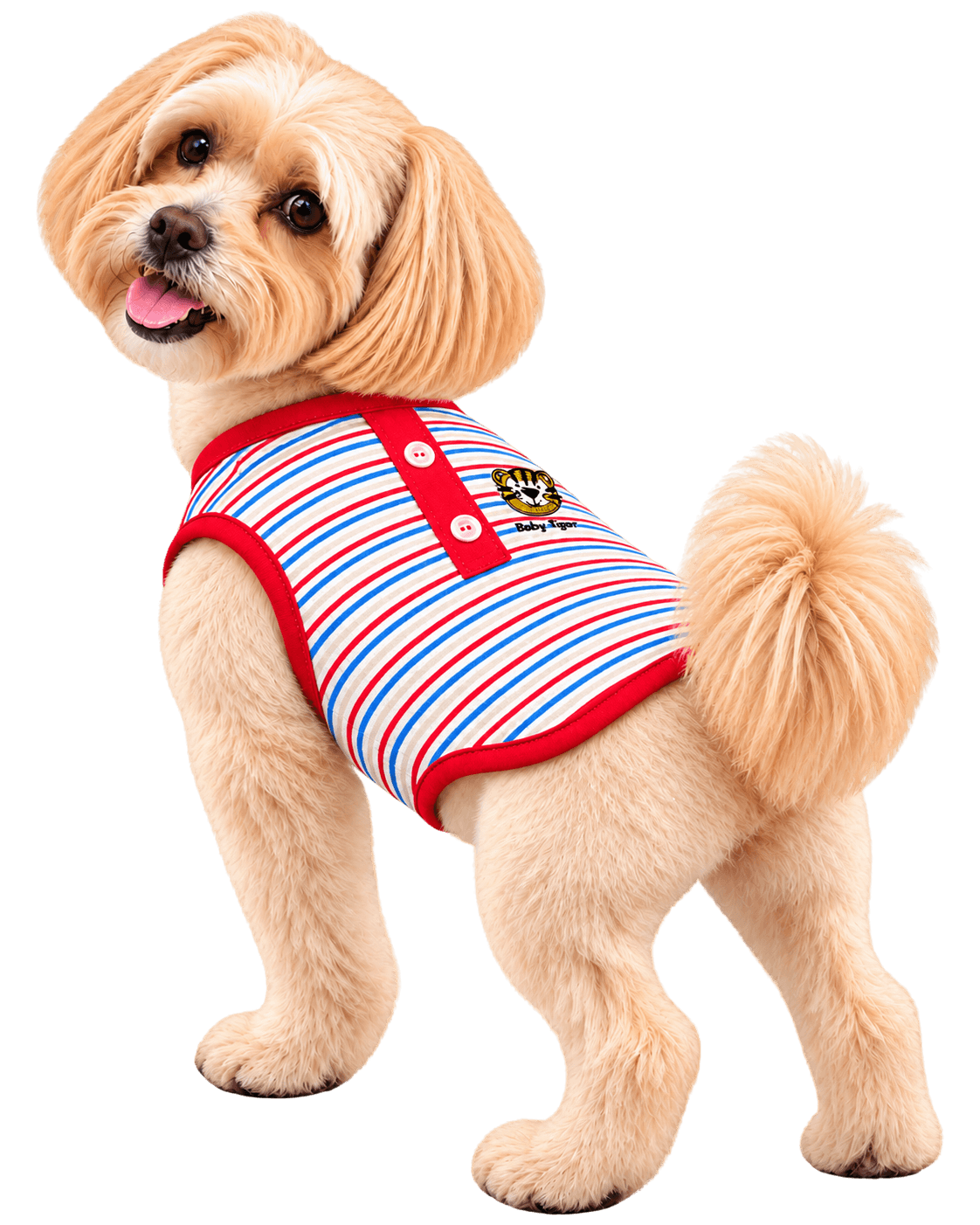 Perrito feliz con camiseta rayada de tigre