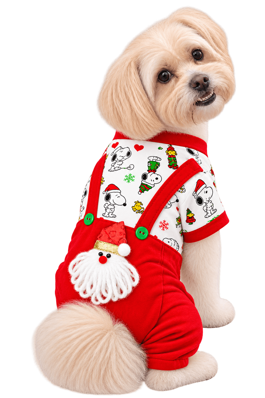 Perrito navideño mirando sobre el hombro